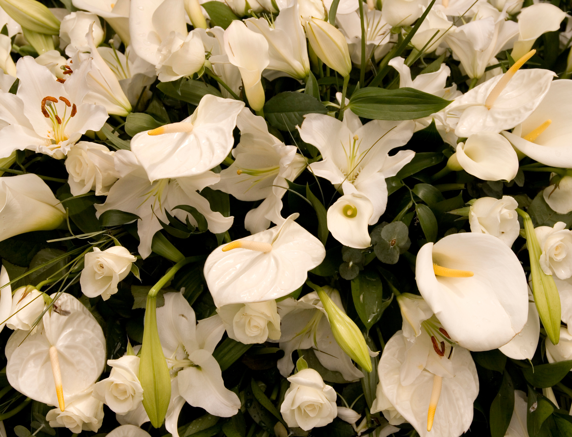 Funeral flowers arrangement